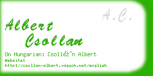 albert csollan business card